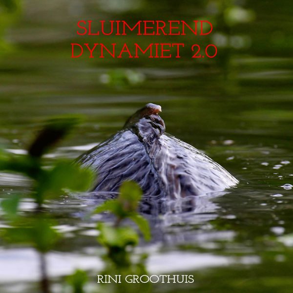 Sluimerend Dynamiet 2.0 Rini Groothuis