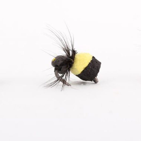 NASH Zig Bugs