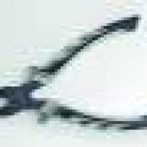 Fluoriserende Knip Tang