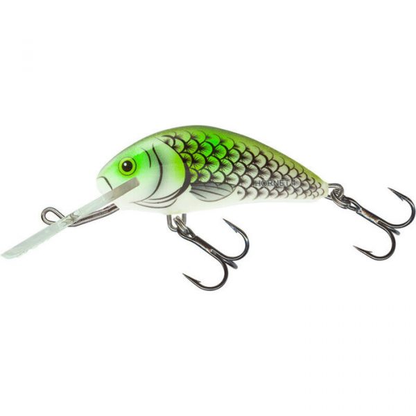 Salmo Sinking Hornet 6