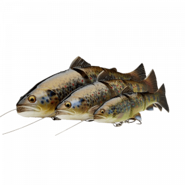 Savage Gear 4D Line Thru Trout